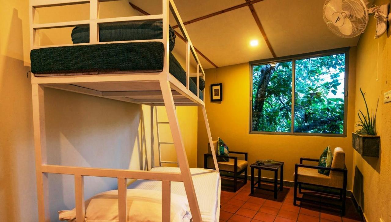 Mistletoe Homestay & Cafe Munnar Ngoại thất bức ảnh